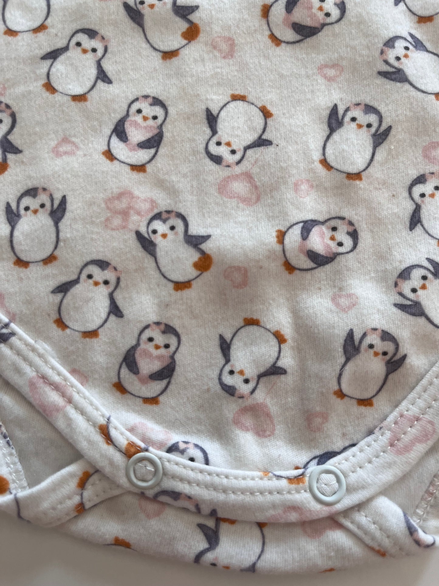 Body pinguim